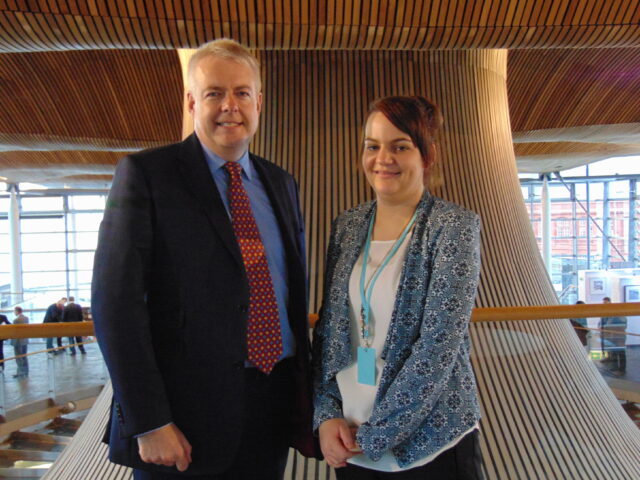 Senedd 2 Rhagfyr 2015 B