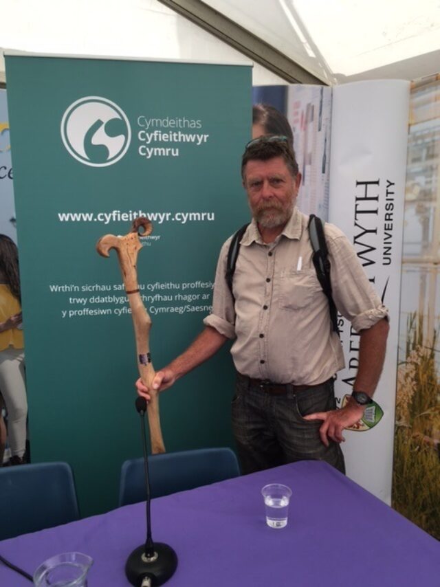 Elis Gwyn A Ffon Farddol 2017C